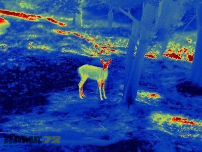 Тепловизионный прицел Guide TS450